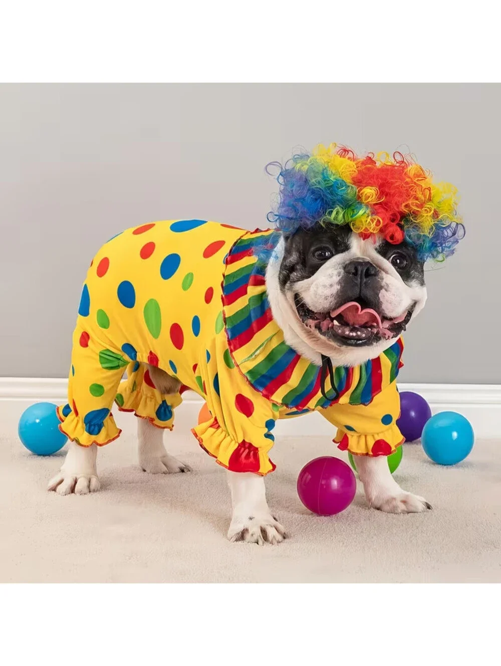 HALLOWEEN CIRCUS CLOWN DOG COSTUME WITH RAINBOW WIG POLKA DOT JUMPSUIT XXL NEW